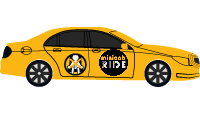 London Taxi Executive Car